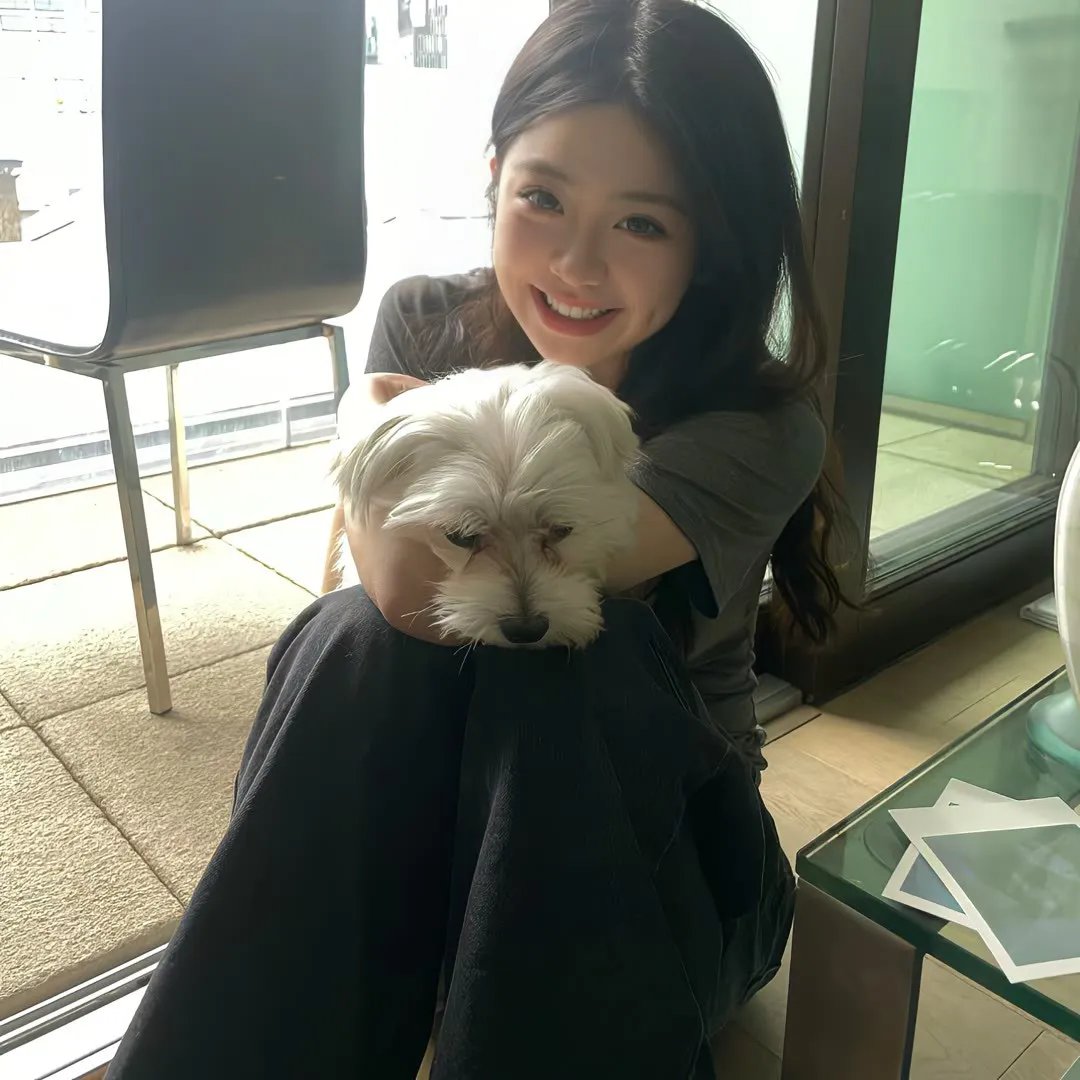 绿衣骑士